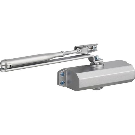 Chiudiporta spingiporta idraulico automatico reversibile, portata 60kg, forza 3, argento - THIRARD