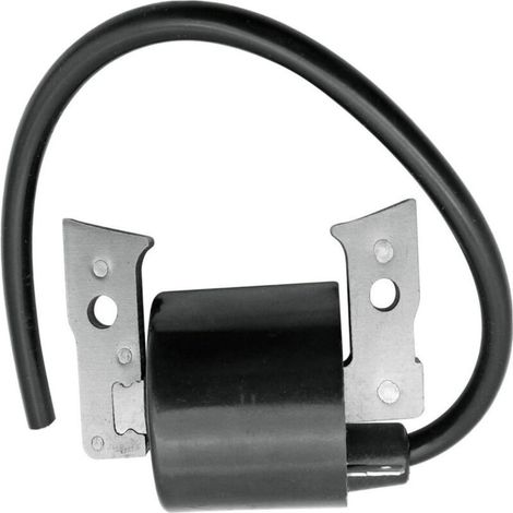 Bobina de encendido de alto voltaje adecuada para 21121-2070AM109209 FC400V FC420V (1/3)
