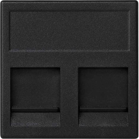 Placa K45 V-D guardapolvo con 2 conectores AMP/KRONE gris SIMON KB76/14