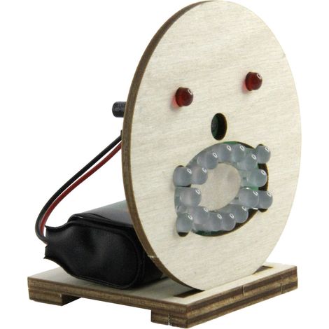 Sol Expert 76333 LED Bausatz (1/5)