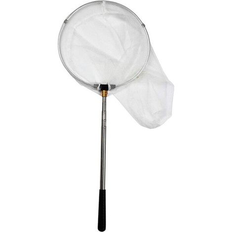 Red para insectos y mariposas, profundidad de la red: 91 cm, mango extensible hasta 150 cm. (1/4)