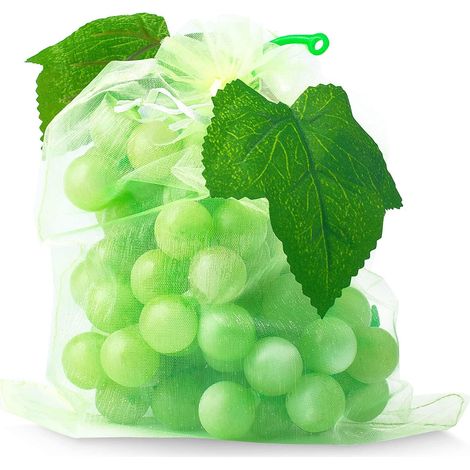 100 Sac Protection Fruits Sacs Filets Protection des Grappes de Raisins Contre Les Oiseaux et Insectes Guêpes Frelons 30 x 20 cm (1/5)