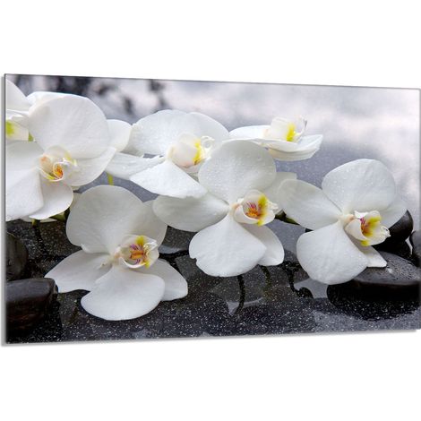 Glasschutzplatte für den Herd 80x52 Orchidea (1/5)