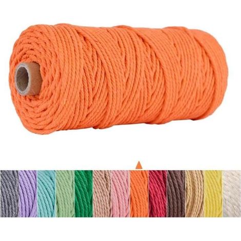 Corde Macramé, Fil Macrame Coton 3mm x 100m Naturel, Ficelle Corde pour Tressée DIY, Tapisserie de Plante Cintre de Drapeau Artisana (1/4)
