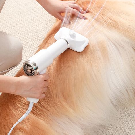Asciugacapelli per animali domestici, asciugacapelli portatile 2 in 1 per animali domestici, controllo intelligente della temperatura, spazzola per la toelettatura, stazione di lavaggio per animali do (1/5)
