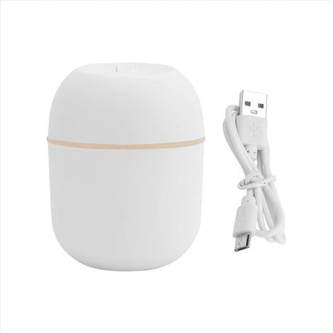 Humidificateur air USB 220 ml portable brume diffuseur pour bureau car blanc (1/5)