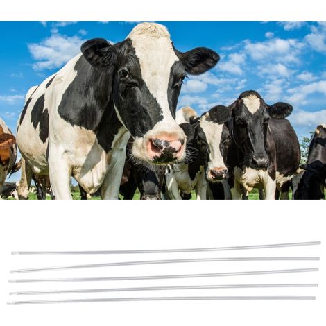 Gaine pour Insemination Artificielle [Kit 20 Pièces] Tube Cathéter Accessoire pour Vache - Matériel Plastique 43.8cm (1/5)