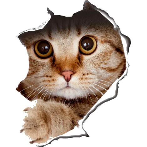 Autocollant Abattant Toilette - Chat Chien - Imperméable Amovible - Pour Surface Lisse - 1 Pièce