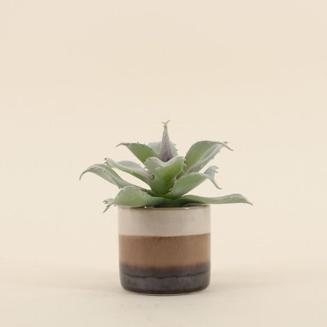 Plante grasse artificielle pot céramique rayé 12cm