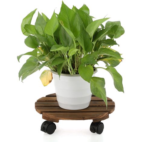 Étagère d'intérieur pour plantes, support à fleurs autoportant avec roulettes pour jardin et bonsaïs (1/5)