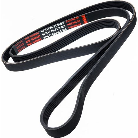 CINGHIA POLARE PK 6PK1795 (1/2)