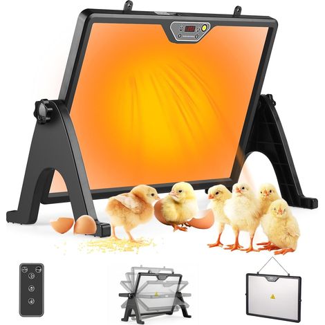 Plaque Chauffante Poussin 180W Double Face, Chauffage pour Poulailler avec Thermostat Réglable 30-75°C (1/5)