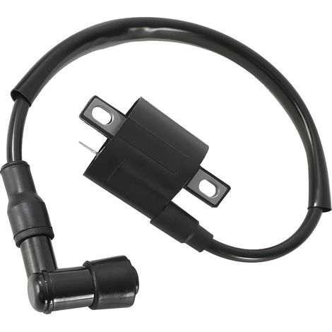 Bobine D'allumage Haute Performance pour Moto, Scooter, Cyclomoteur, ATV 125CC 150CC 200CC 250CC, Bobine Allumage Universelle, Remplacement Fiable, Allumage Rapide, Compatible Moteur GY6 (1/5)