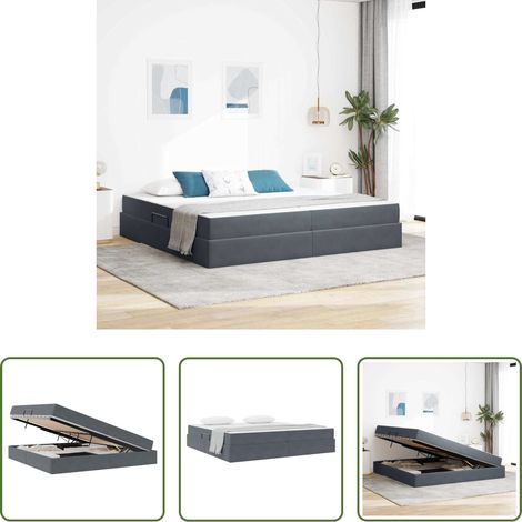 vidaXL Samtüberzug - Aufbewahrungsbett mit Matratze Dunkelgrau 200 x 200 cm Samt (1/5)