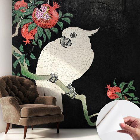 Selbstklebend Tapete modern Wohnzimmer - Wanddekoration - einfach anzubringen Paprika-Papagei 250x250 cm (1/5)