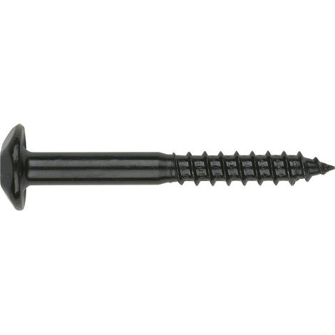Vis Penture Inviolable 2 pièces TORX T40 7X80 Acier zingué noir-1 pièce (1/4)