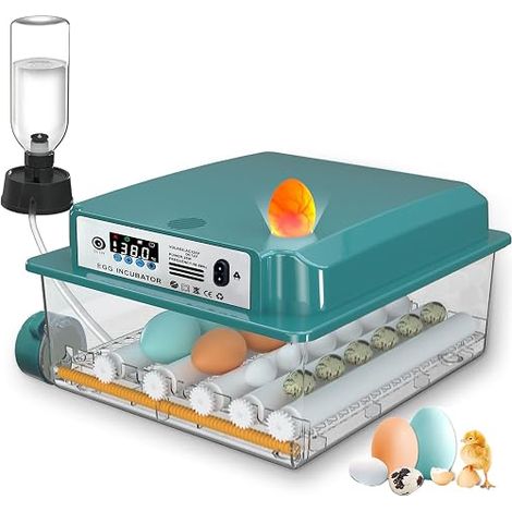 Egg Incubator, Automatic Egg Incubator Eggs with Automatic Egg Turning and Automatic Addition of Water, Incubators for Poultry Eggs (1/2)