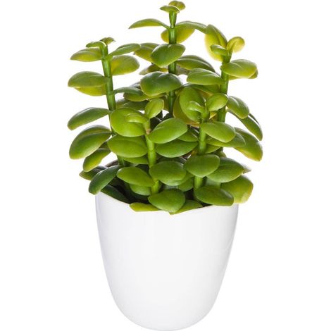 Sukkulente & Kaktuspflanze H18cm - Model 2