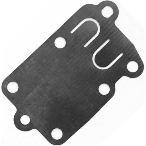 Membrane carburateur en kit pour Briggs & Stratton 272538 (1/2)