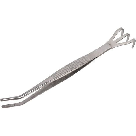 Gratte-Racines Premium 3 Dents avec Pince, Inox Ergonomique pour Décompactage Sol Bonsaï - Outil Jardin Précision (1/5)