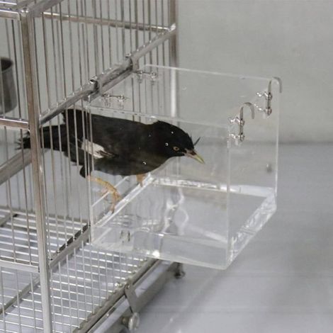 Baignoire à oiseaux suspendue en acrylique transparente pour oiseaux de petite taille - Accessoire de cage (1/4)