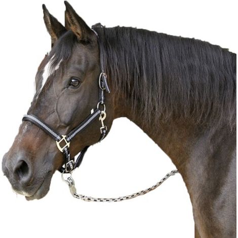 Kerbl Cabazada Horse Mustang, nylon, doppia regolazione, nero, taglia 3