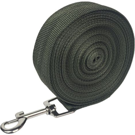 Longe pour Chien (10m ), Laisse de Dressage Chien avec Poignée Longe Chien Longue Sangle en Nylon Mains Libre pour Petits à Grands Chiens Animal de Compagnie Promenade Jogging
