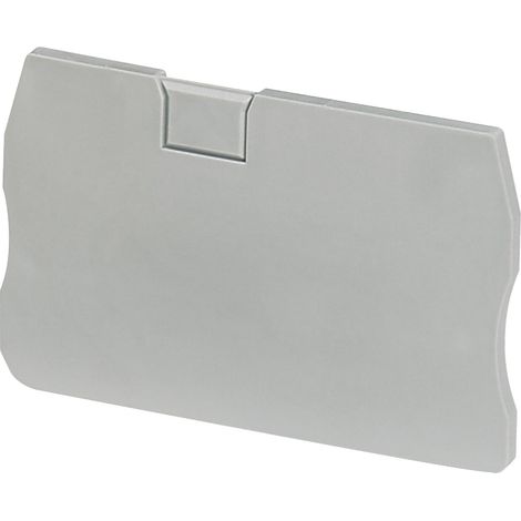 Cloison extrémité 2 pts 2mm pour bornes ressort NSYTRR22-TRR42-TRP22-TRP42 SCHNEIDER NSYTRACR22 (1/2)