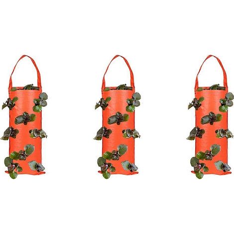 3 pièces Breathable suspendu jardinière Grow sac Strawberry Grow sac fleur Grow Bags Potato Grow Bags plante Grow Bags B (1/5)