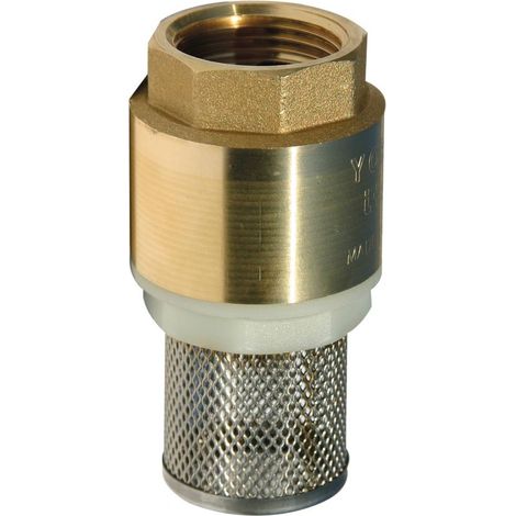 CREPINE CLAPET LAITON 1'' AVEC CREPINE INOX RENSON