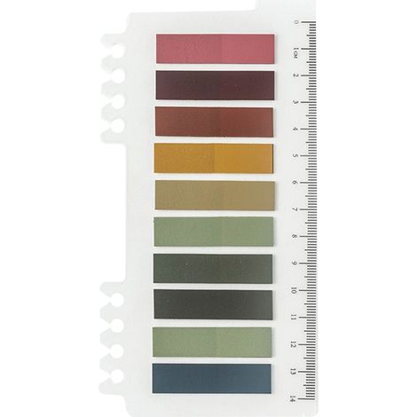 200 mehrfarbige PET-Klebe-Seitenmarker – Seitenmarker mit Lineal, 15,7 x 8,9 cm (1/5)