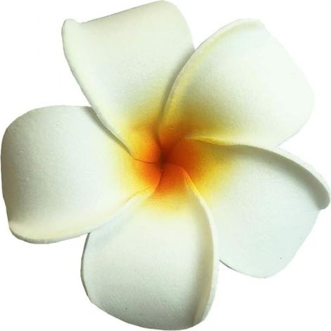 Fleur Artificielle Flottante - Plumeria - EVA Écologique - Pour Piscine Baignoire Bassin Aquarium - 20 Pièces Blanches (1/5)