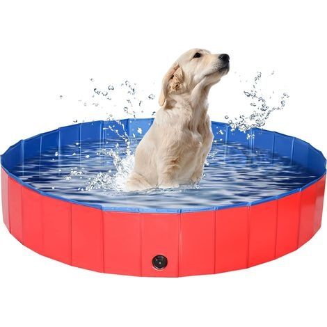 Piscine pour Chien de 80 x 30 cm, Pliable pour Animal Domestique, Grande Piscine en PVC (1/5)