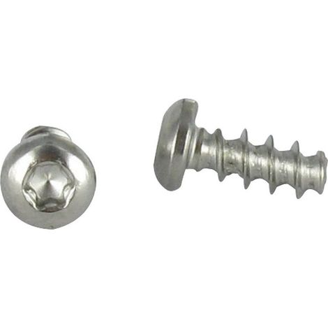 Vis pvc tête cylindrique bombée large 5X12 TORX T20 Inox A2-1 pièce
