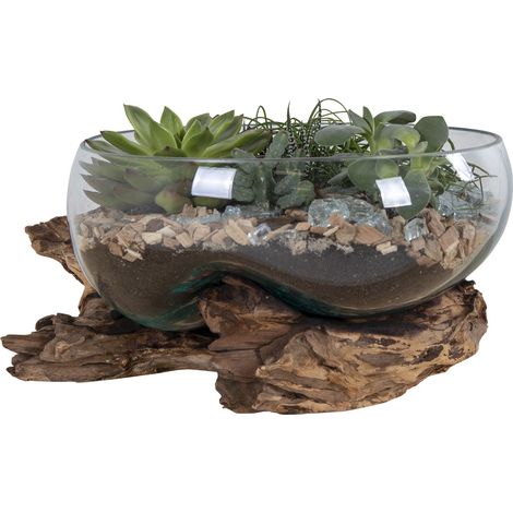 Terrario San Marino in vetro a conca ovale su grande base in radice di teak 26x26xh20 cm