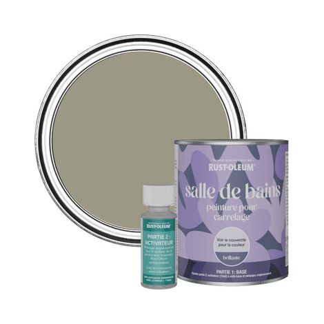 Peinture pour Carrelage de Salle de Bain, Finition Brillante - Racine 750ml (1/3)