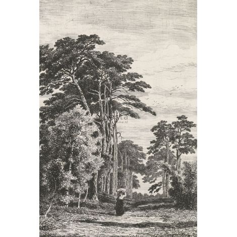 papier peint panoramique paysage boisé noir et blanc  - ESTAhome (1/5)