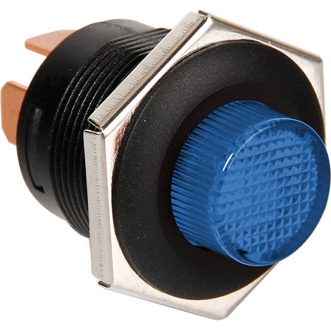 Interruttore a pulsante con spia a Led - 12/24V - Blu (1/3)