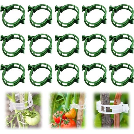 Pflanzclips aus Kunststoff für Kletterpflanzen, Stützclips aus Kunststoff, geeignet zur Befestigung von Tomatenpflanzen, Ranken und Gemüse (50 Stück, grün) (1/4)