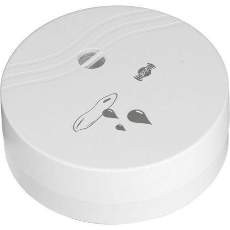 Détecteur de fuites d'eau avec alarme sonore 100 dB, capteur de fuites d'eau étanche pour salle de bain domestique