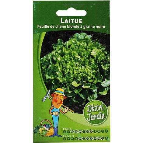 Sachet De Graines Laitue A Couper Feuille Ch√Äne
