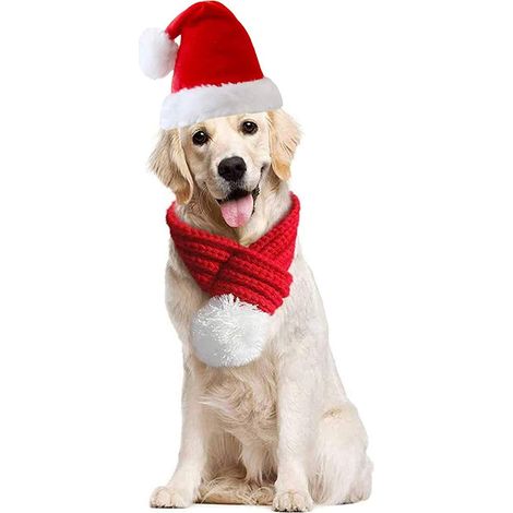 juego: gorro, bufanda, algodón, perro, gato, Navidad (1/5)