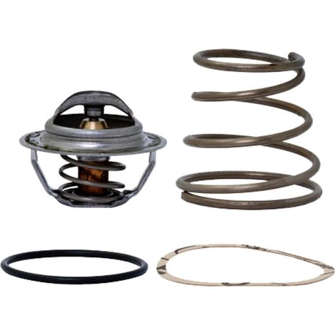 Insert thermique ESBE complet pour vanne thermique série TV, 45°C