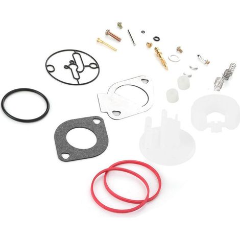 Kit de réparation carburateur Briggs Stratton 796184 796081 790727 – Matériaux alliage. plastique. caoutchouc – Installation simple et rapide (1/5)