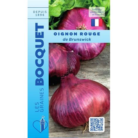 Oignon rouge foncé de Brunswick - 4g