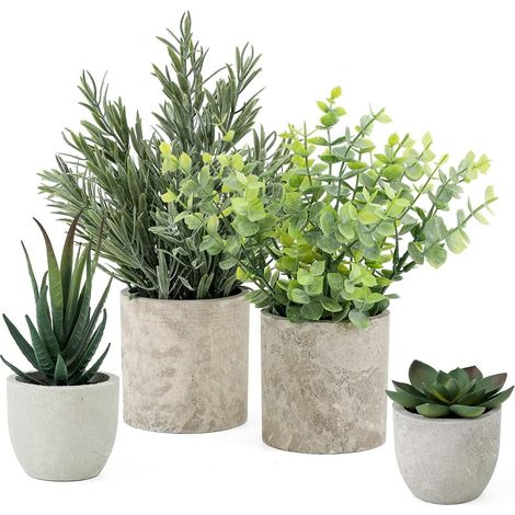 Lot de 4 plantes artificielles en pots - Plantes succulentes - Faux eucalyptus - Petite plante d'intérieur - Romarin pour plantes succulentes artificielles - Décoration de bureau ou salon (1/5)