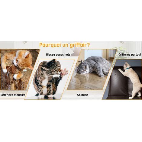 Griffoir pour Chats Carton - Grattoir Multi-Formes Pliant, Jouet Interactif avec Cloche Dérouvable, Stimule l'Instinct de Chasse Félins (1/5)