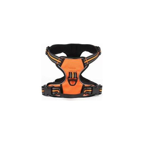 Laisse pour chien orange, taille S – (1/2)