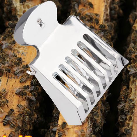 Pince à reine en acier inoxydable, outil de capture d'abeilles pour apiculteurs (1/5)
