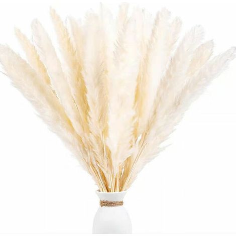 Ensemble de 30 fleurs séchées de roseau de pampa Boho Home Decor Bouquet de mariage blanc Vase de fleurs séchées de roseau (1/5)